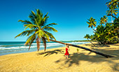 248_Playa_Coson_Las_Terrenas.jpg, 11kB