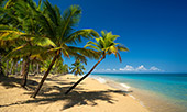 250_Playa_Coson_Las_Terrenas.jpg, 10kB