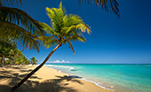 251_Playa_Coson_Las_Terrenas.jpg, 9,8kB