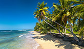 258_Playa_Coson_Las_Terrenas.jpg, 12kB