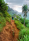 haw160_Kauai_Kalalau_Trail.jpg, 16kB