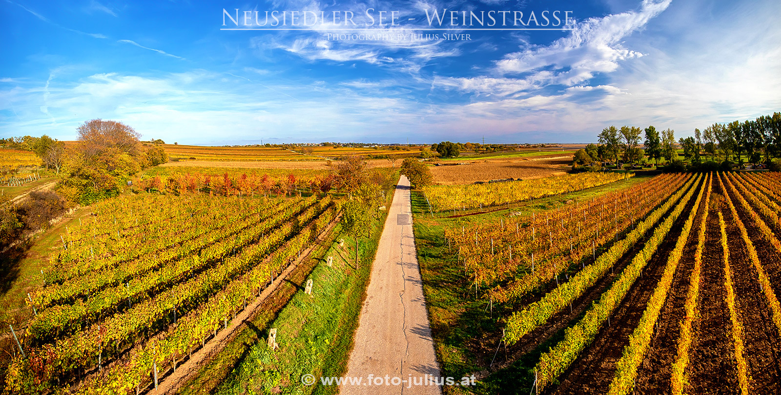 120a_Jois_Neusiedler_See_Weinstrasse.jpg, 919kB