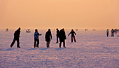 Austria, Neusiedler See im Winter, Eislaufen, Photo Nr.:neusiedl036
