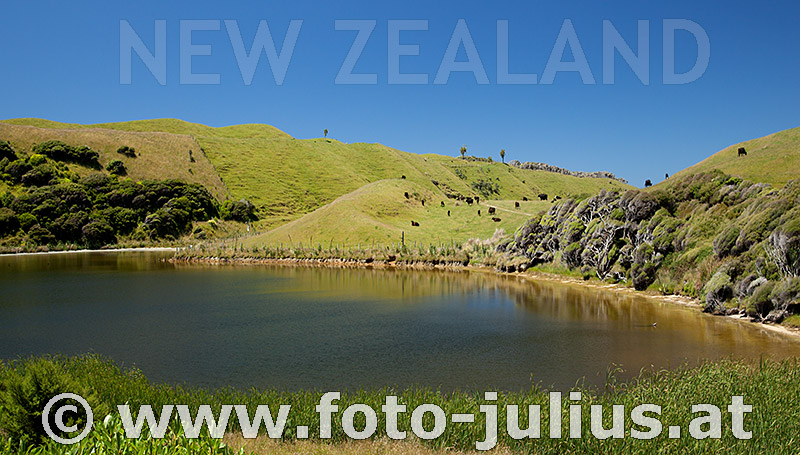 NewZealand285+.jpg, 169kB