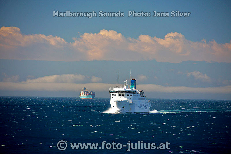 nz043a.jpg, 83kB