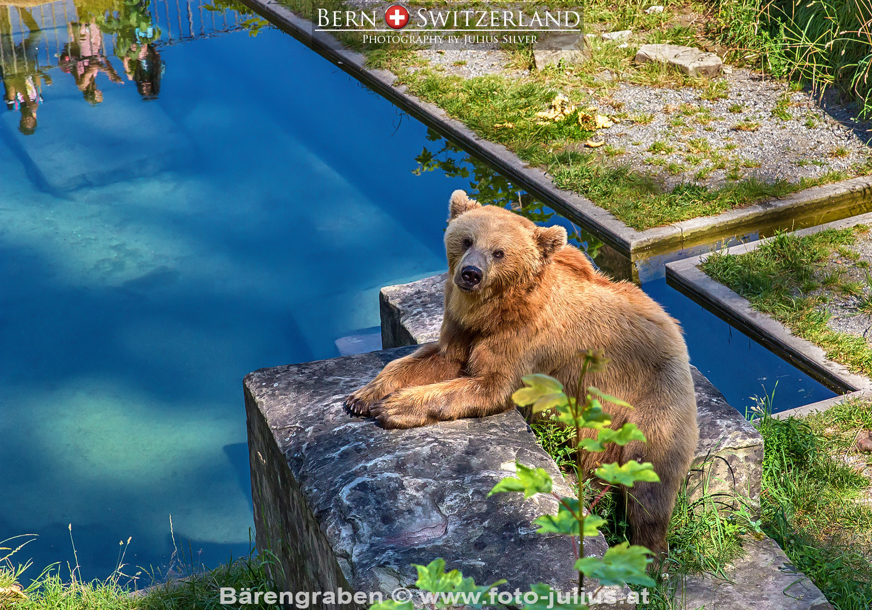 Bern_016a_Barenpark.jpg, 939kB