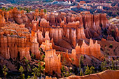624_Bryce_Canyon_National_Park.jpg, 15kB