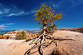 643_Bryce_Canyon_National_Park.jpg, 12kB