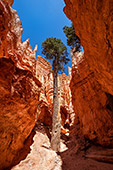 661_Bryce_Canyon_National_Park.jpg, 14kB