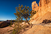 680_Bryce_Canyon_National_Park.jpg, 13kB