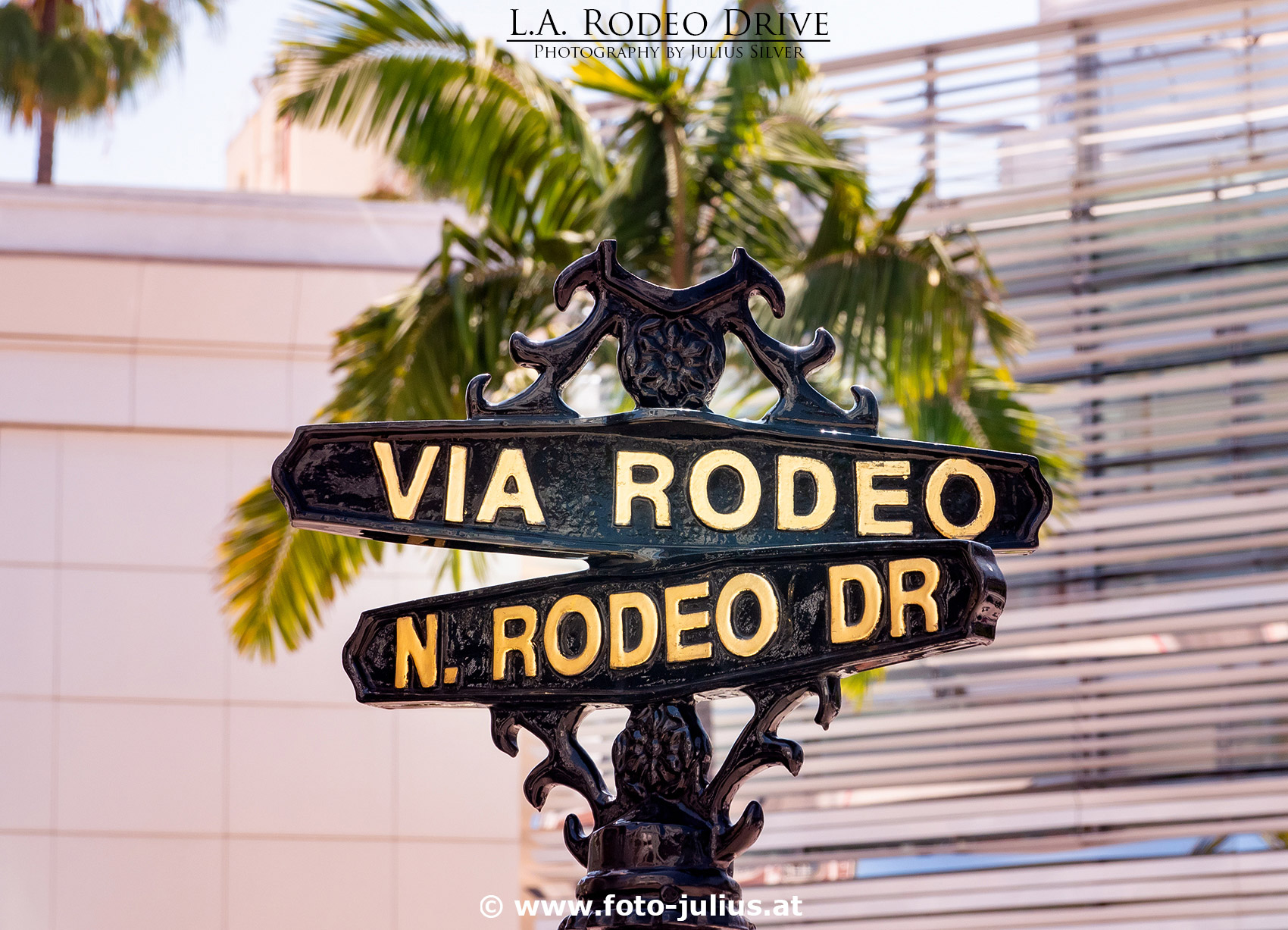 778a_Los_Angeles_Rodeo_Drive.jpg, 537kB