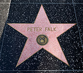 780_Los_Angeles_Walk_Of_Fame.jpg, 16kB