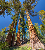945_Yosemite_National_Park.jpg, 25kB