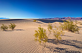 1230_Death_Valley_National_Park.jpg, 9,5kB