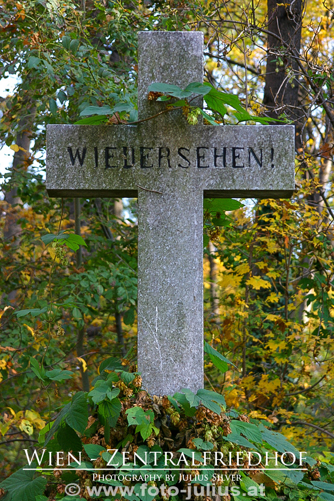 W1438a_Zentralfriedhof_Wien.jpg, 484kB