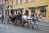 Vienna, Habsburgergasse, Pfertekutsche, Photo Nr.: W5618