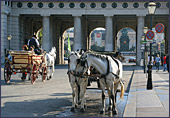 Vienna, Pferdekutsche (Horse-drawn Carriage), Photo Nr.: W2326