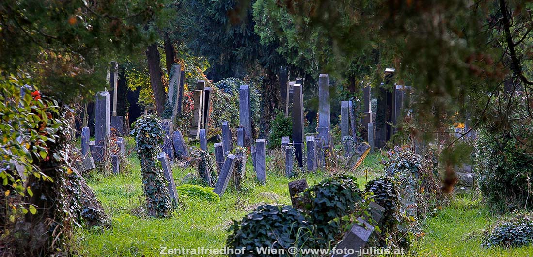 W5208b_Wien_Alter_juedischer_Friedhof.jpg, 168kB