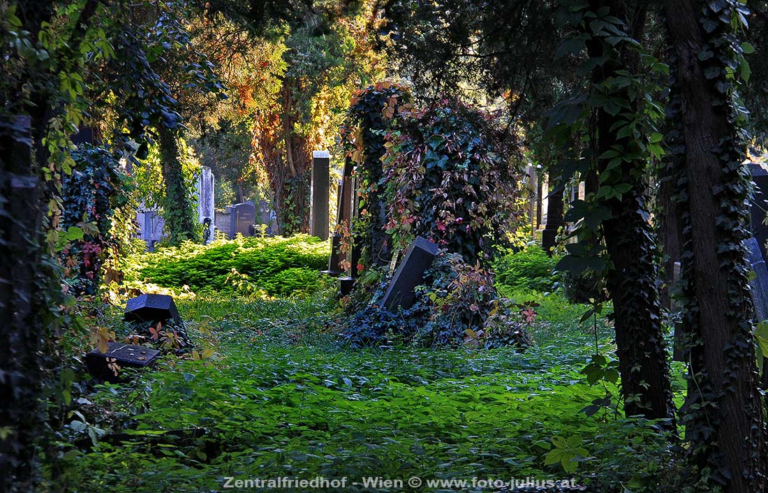 W5211b_Wien_Alter_juedischer_Friedhof.jpg, 230kB
