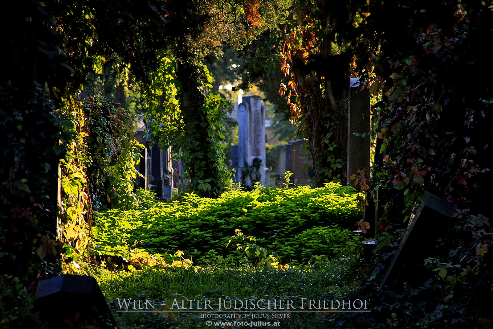 W5212a_Wien_Alter_juedischer_Friedhof.jpg, 989kB