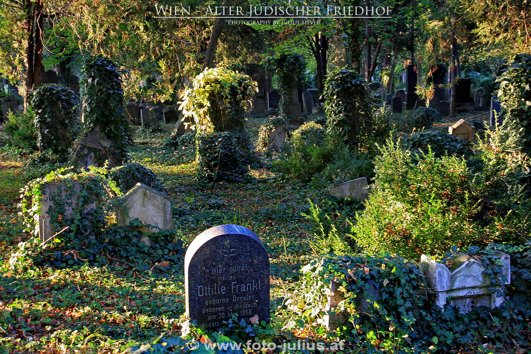 W5218a_Wien_Alter_juedischer_Friedhof.jpg, 1,7MB