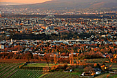 Vienna, View from Leopoldsberg, Photo Nr.: W5238