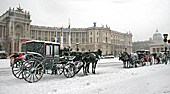 Vienna, Hofburg, Photo Nr.: W5436